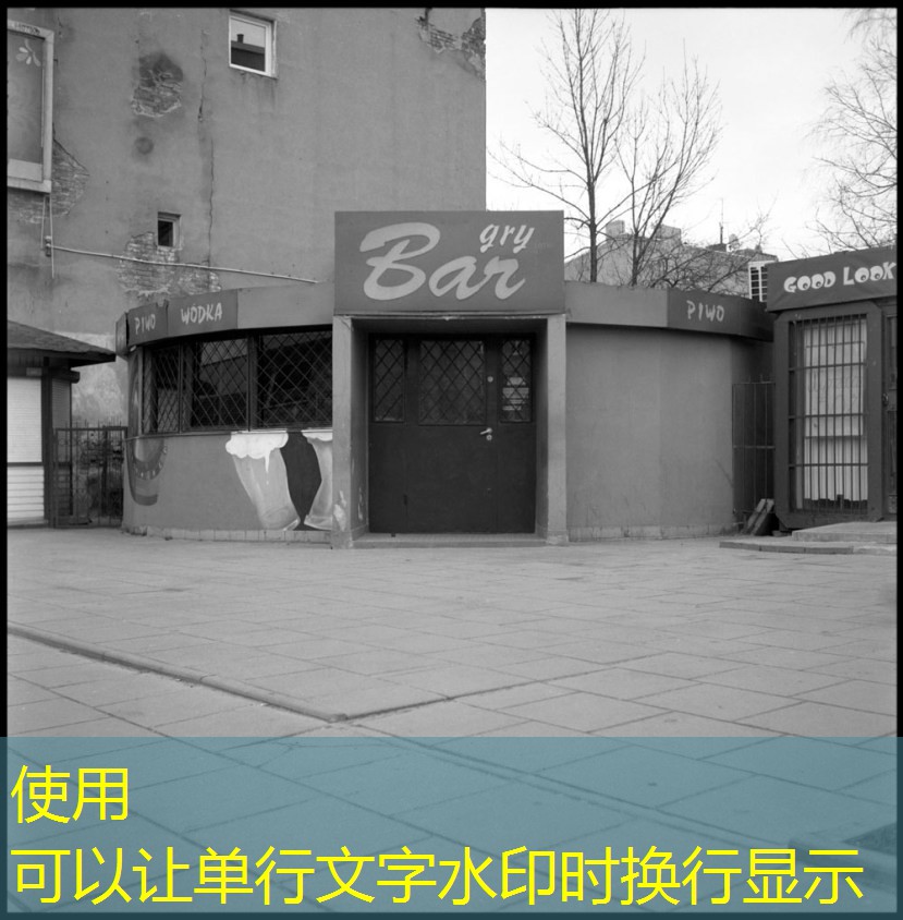 peixe beta roxo peixe beta roxo